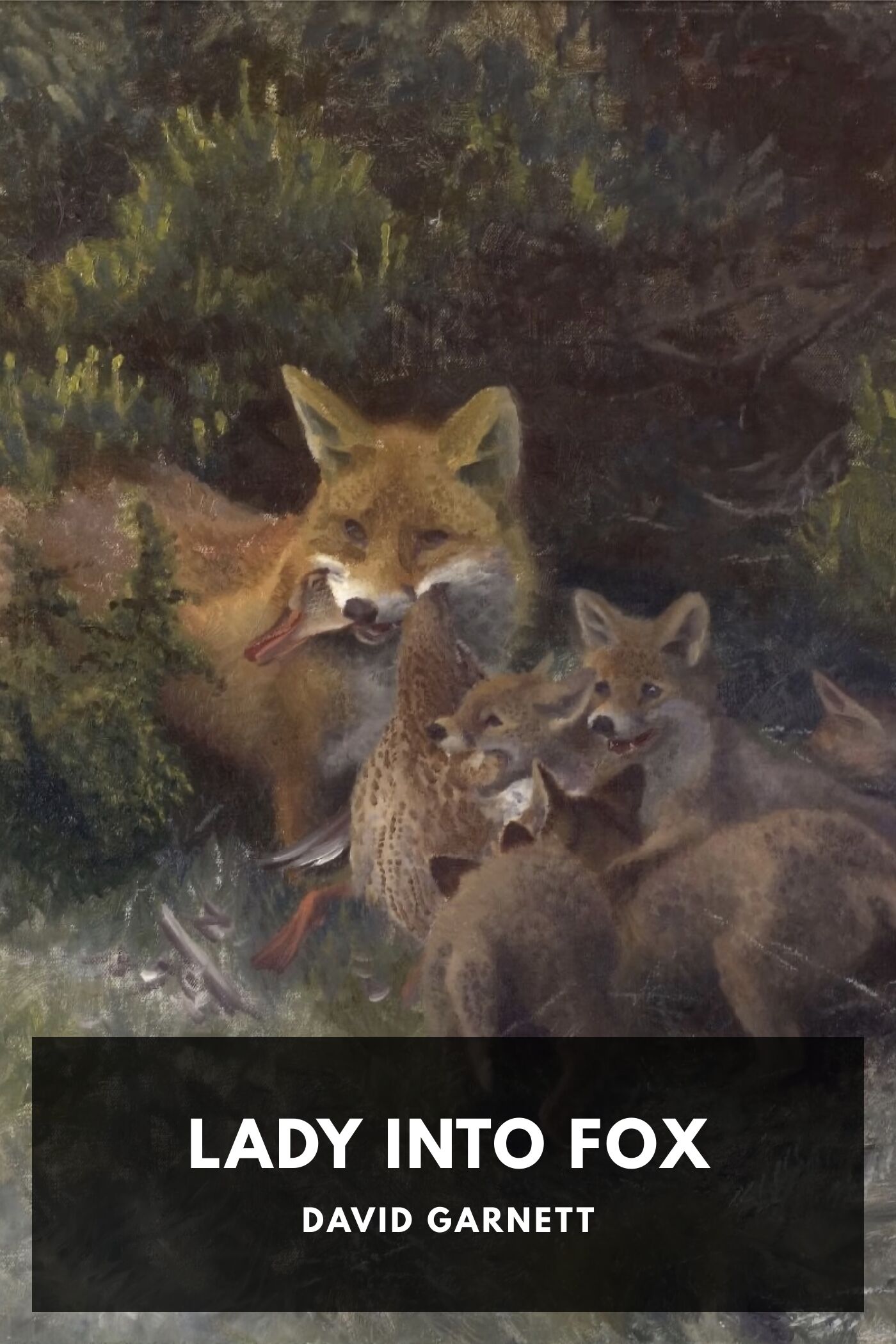 Lady Into Fox